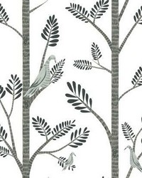 Aviary Branch Peel and Stick Wallpaper Gray by  York Wallcovering 