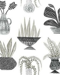 Plant Party Peel and Stick Wallpaper Black by   