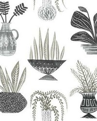 Plant Party Peel and Stick Wallpaper Black by  Kast 