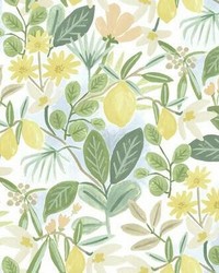 Amalfi Peel and Stick Wallpaper Pink Green by   