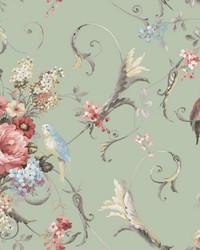 Parrots with Floral Bouquets Eucalyptus by   