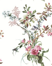 Wild Flowers Rose by   