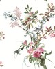 York Wallcovering Wild Flowers Rose