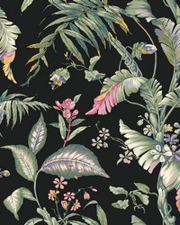 Fiji Garden Black by   