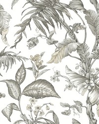 Fiji Garden White by   