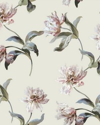 Large Parrot Tulip Neutral by   