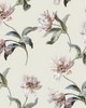 York Wallcovering Large Parrot Tulip Neutral
