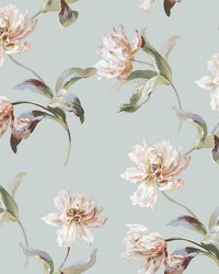 Large Parrot Tulip White by   