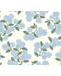 Hydrangea Blue & White by   