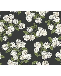 Hydrangea Black & White by   