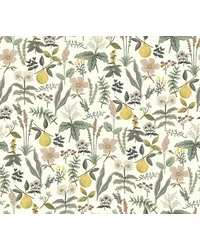 Herb Garden Cream by   