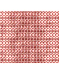 Daisy Gingham Red by   