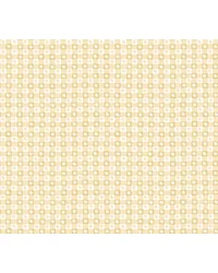 Daisy Gingham Yellow by   