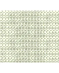 Daisy Gingham Green by   