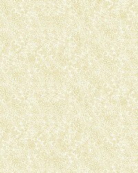 Champagne Dots Wallpaper Gold White by   