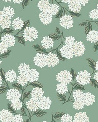 Hydrangea Wallpaper Jade by   