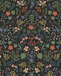 Wildwood Wallpaper Black by   