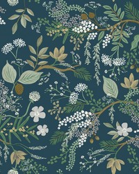 Juniper Forest Wallpaper Pine by   