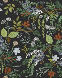 Juniper Forest Wallpaper Black by   