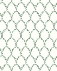 Laurel Wallpaper Green White by   