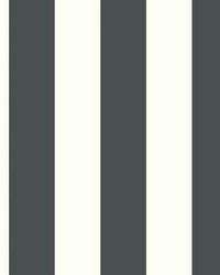 AWNING STRIPE PEEL  STICK WALLPAPER by   
