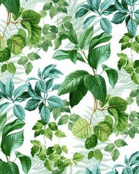 RAINFOREST LEAVES PEEL  STICK WALLPAPER by  Ralph Lauren 