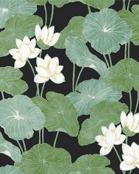 LILY PAD PEEL  STICK WALLPAPER by  Roommates 