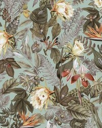 TROPICAL FLOWERS PEEL  STICK WALLPAPER by  Old World Weavers 