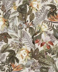 TROPICAL FLOWERS PEEL  STICK WALLPAPER by  Mitchell Michaels Fabrics 