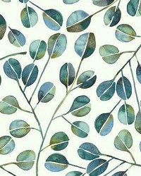 CAT COQUILLETTE EUCALYPTUS PEEL  STICK WALLPAPER by  Roommates 