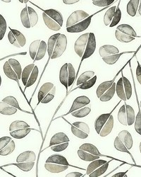 CAT COQUILLETTE EUCALYPTUS PEEL  STICK WALLPAPER by  Roommates 