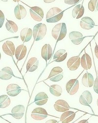 CAT COQUILLETTE EUCALYPTUS PEEL  STICK WALLPAPER by  Roommates 