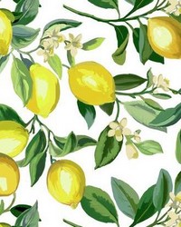 LEMON ZEST PEEL  STICK WALLPAPER by  Roommates 