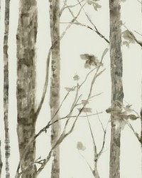 TREES PEEL  STICK WALLPAPER by  Ralph Lauren 
