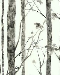 TREES PEEL  STICK WALLPAPER by   