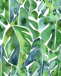 CAT COQUILLETTE PHILODENDRON PEEL  STICK WALLPAPER by  Roommates 