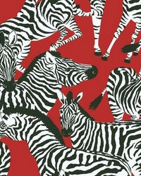 HERD TOGETHER PEEL  STICK WALLPAPER by  Roommates 