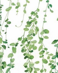 HANGING WATERCOLOR VINES PEEL  STICK WALLPAPER by   