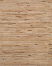 Lustrous Grasscloth Wallpaper Browns by   