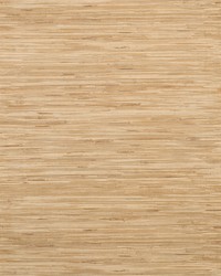 Lustrous Grasscloth Wallpaper Yellows by   