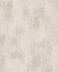 Italian Plaster Pearl by   