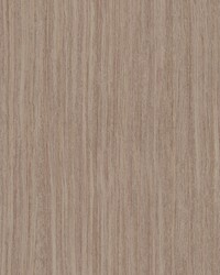 Wistman Stripe Canyon by   