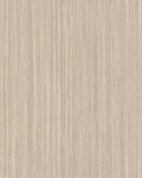 Wistman Stripe Almond by   