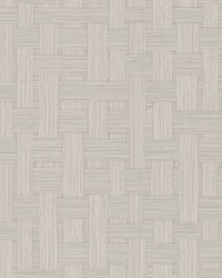 Basketry Dove Grey by   