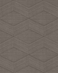 Huntsman Mushroom by   