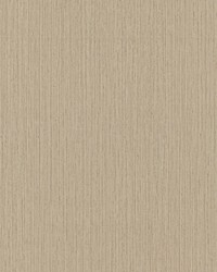 Shetland Hazelnut by   