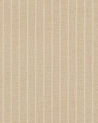 Cording Stripe Sienna by   