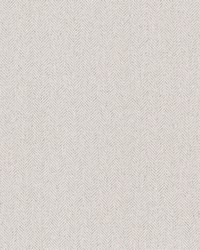 Tailored Chevron White by   