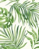 York Wallcovering Paradise Palm Wallpaper Green