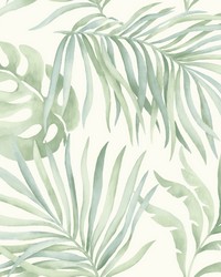 Paradise Palm Wallpaper Light green by   